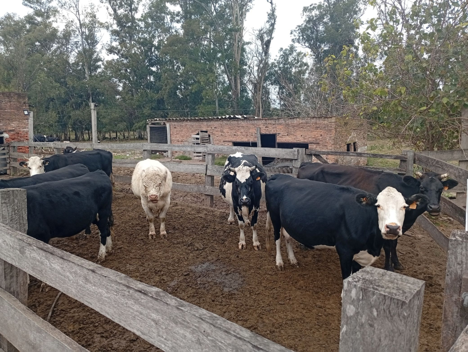 SAE2 en San Javier SAE2 en San Javier