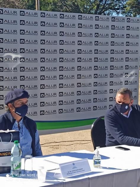 Zafra de Caña de azúcar en Bella Unión (Imagen de Presidencia)