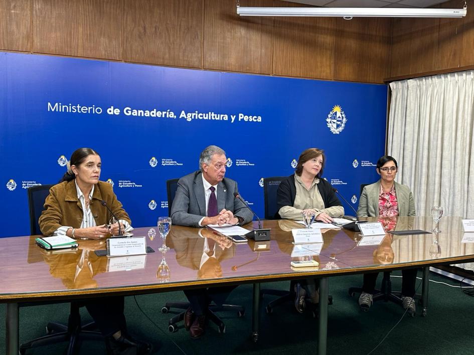 Conferencia de prensa