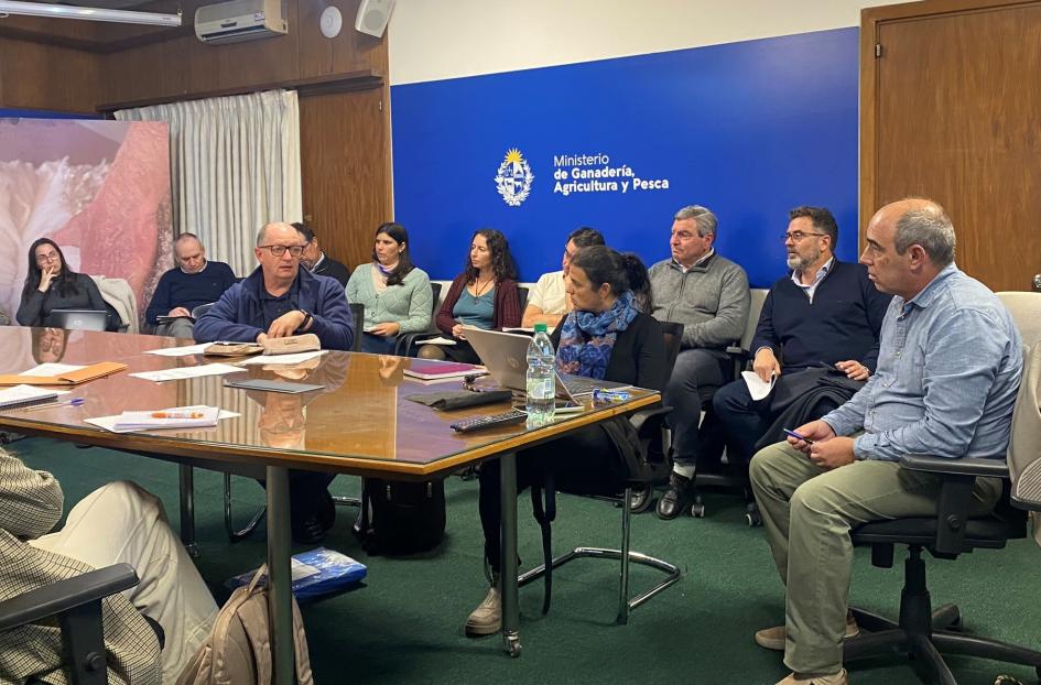 Reunión del Comité Nacional de Recursos Fitogenéticos para avanzar en la hoja de ruta Reunión del Comité Nacional de Recursos Fitogenéticos para avanzar en la hoja de ruta