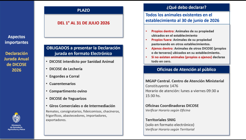 Aspectos importantes