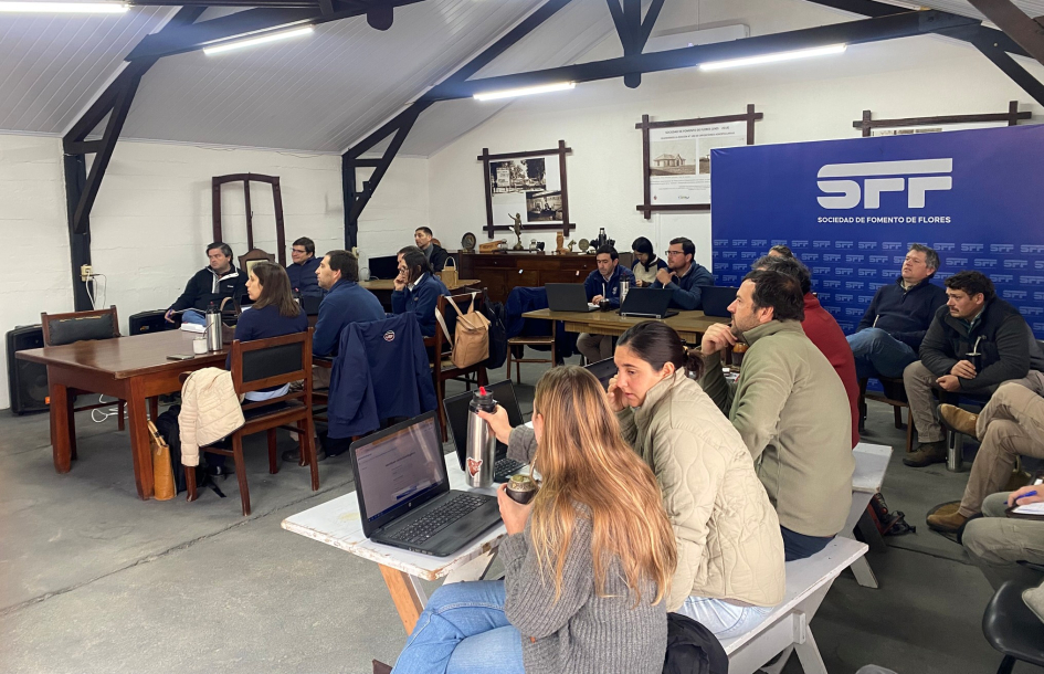 Taller de Actualización sobre Planes de Uso de Suelo en Flores