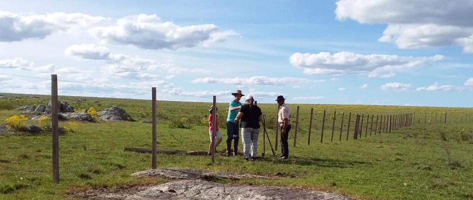 en el campo