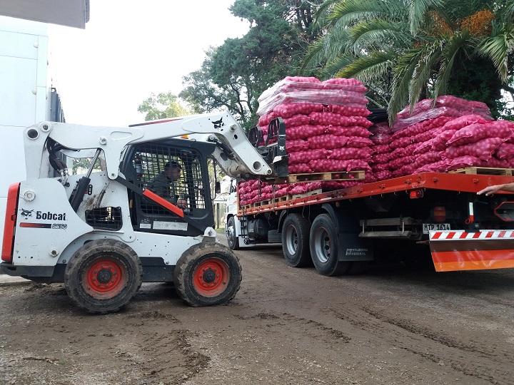 Descarga de la donación de papa en Durazno Descarga de la donación de papa en Durazno