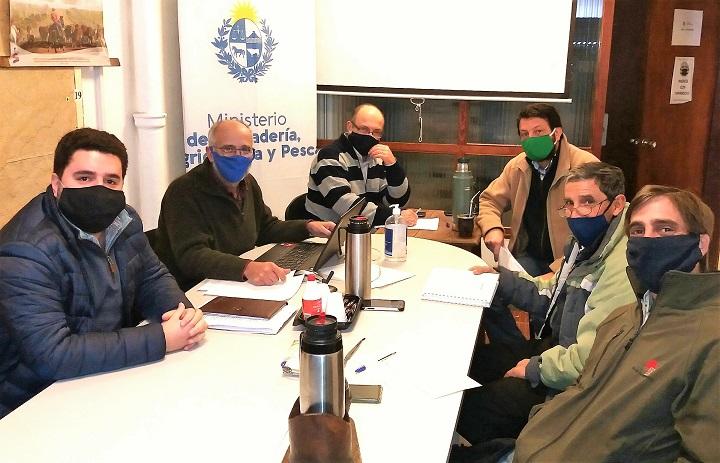 Participantes Participantes