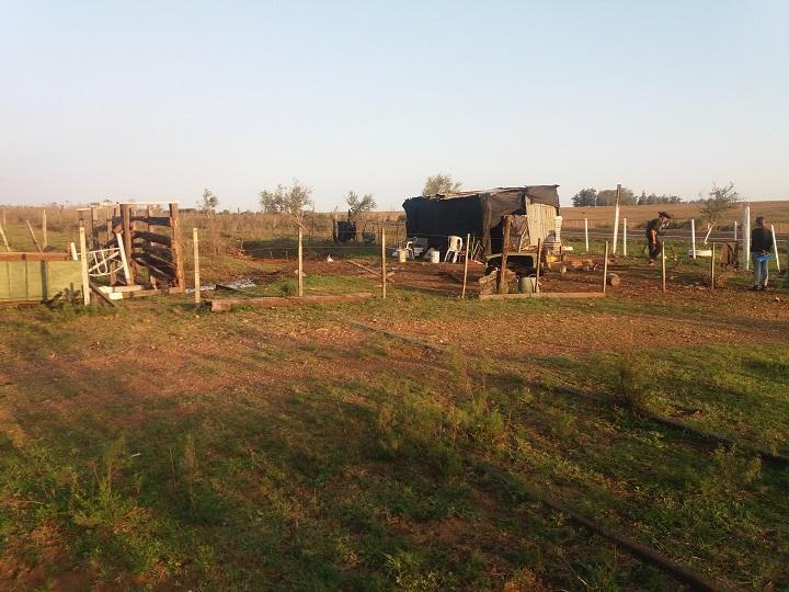 Preocupación por impacto a los vecinos Preocupación por impacto a los vecinos