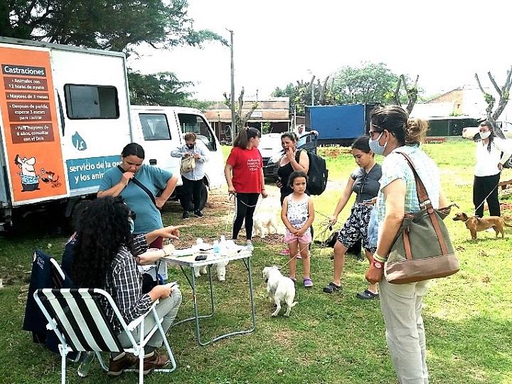 Dueños y voluntarios colaborando