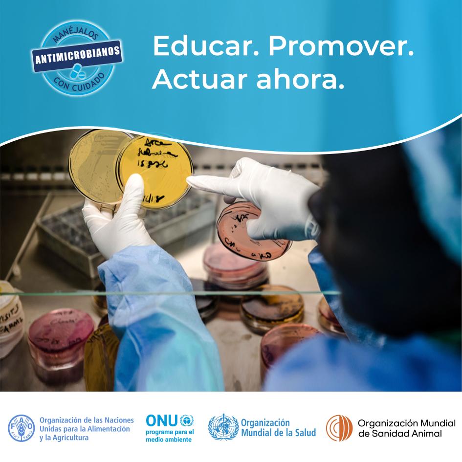 Educar. Promover. Actuar ahora. ram