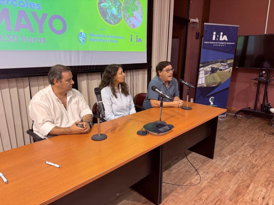 Taller sobre HLB Taller sobre HLB