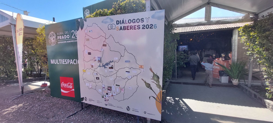 diálogos y saberes diálogos y saberes