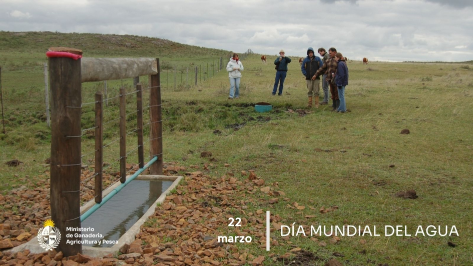 Día Mundial del Agua - 22 de Marzo