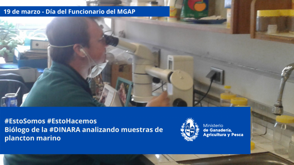 Funcionarios/as del MGAP en plena tarea Funcionarios/as del MGAP en plena tarea