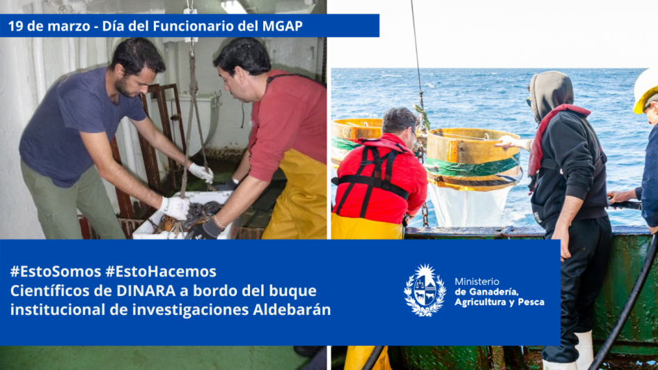 Funcionarios/as del MGAP en plena tarea Funcionarios/as del MGAP en plena tarea