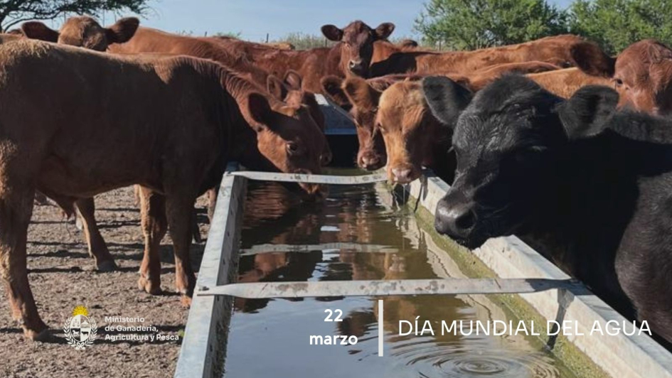 Día Mundial del Agua - 22 de Marzo