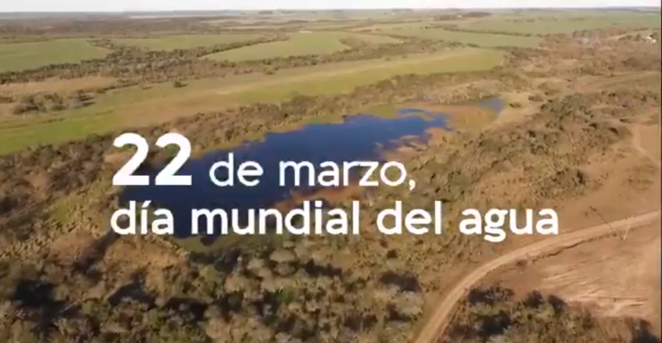 Día Mundial del Agua