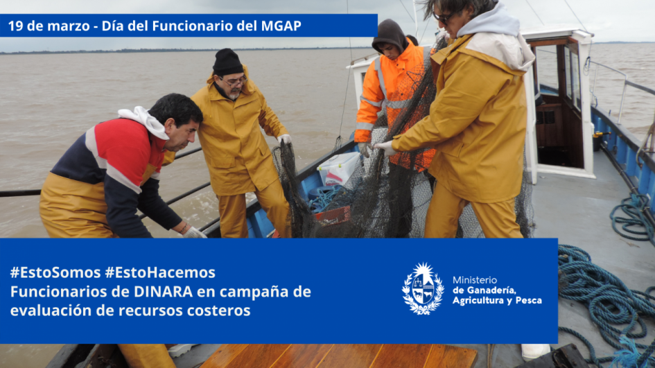 Funcionarios/as del MGAP en plena tarea Funcionarios/as del MGAP en plena tarea