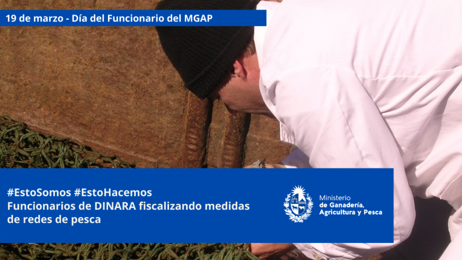 Funcionarios/as del MGAP en plena tarea Funcionarios/as del MGAP en plena tarea