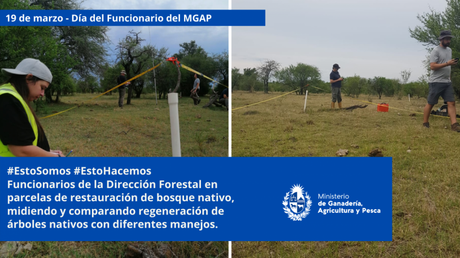 Funcionarios/as del MGAP en plena tarea Funcionarios/as del MGAP en plena tarea