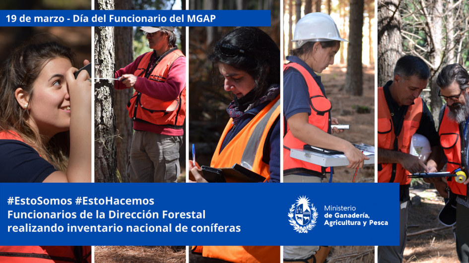 Funcionarios/as del MGAP en plena tarea Funcionarios/as del MGAP en plena tarea