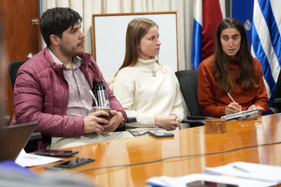 presentación IMPULSO fondos iniciativas juveniles