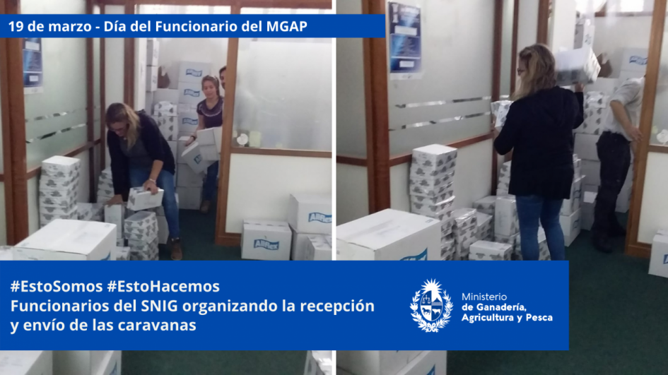 Funcionarios/as del MGAP en plena tarea Funcionarios/as del MGAP en plena tarea