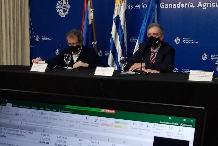 Conferencia de prensa