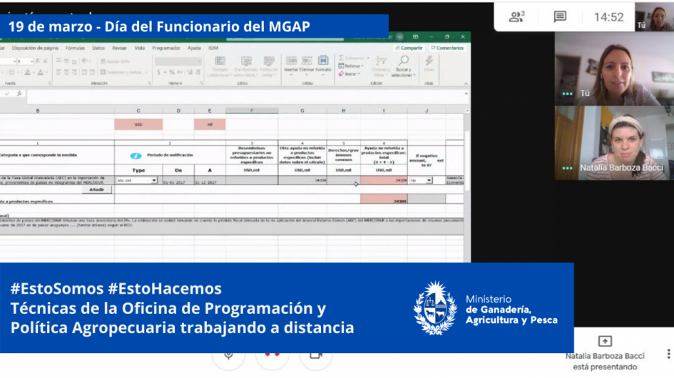 Funcionarios/as del MGAP en plena tarea Funcionarios/as del MGAP en plena tarea
