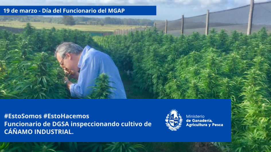 Funcionarios/as del MGAP en plena tarea Funcionarios/as del MGAP en plena tarea