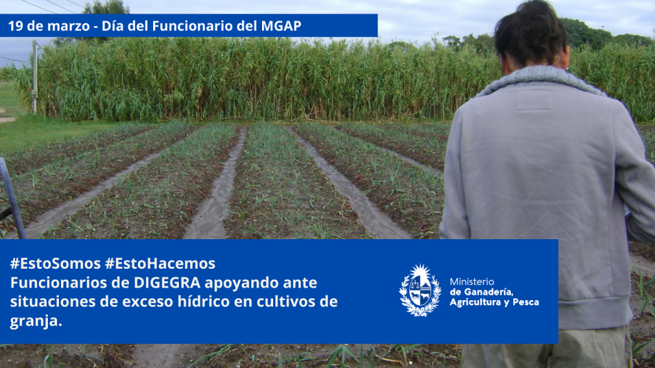 Funcionarios/as del MGAP en plena tarea Funcionarios/as del MGAP en plena tarea