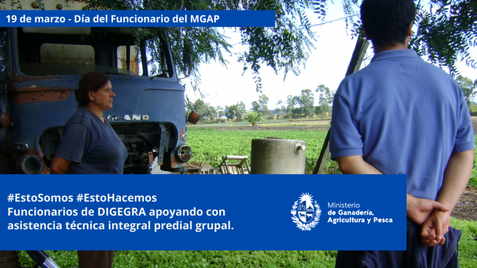 Funcionarios/as del MGAP en plena tarea Funcionarios/as del MGAP en plena tarea