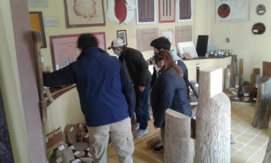 Museo de la madera Museo de la madera