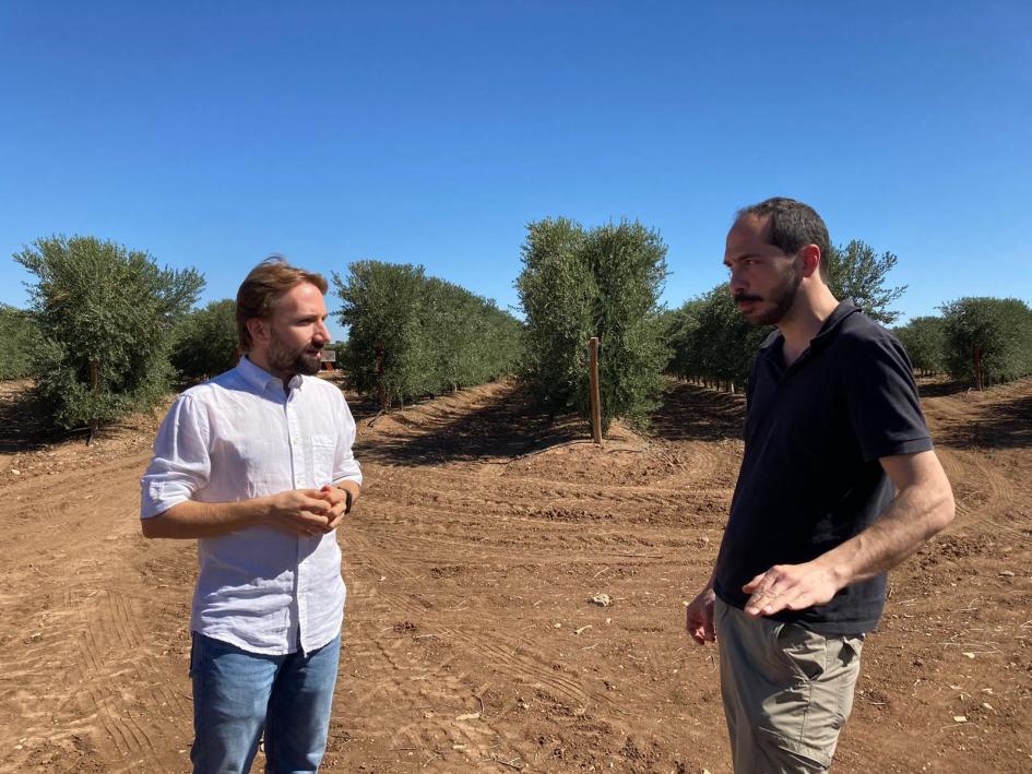 EXPERIENCIAS DE CERTIFICACIÓN AGROFORESTAL EN ESPAÑA EXPERIENCIAS DE CERTIFICACIÓN AGROFORESTAL EN ESPAÑA