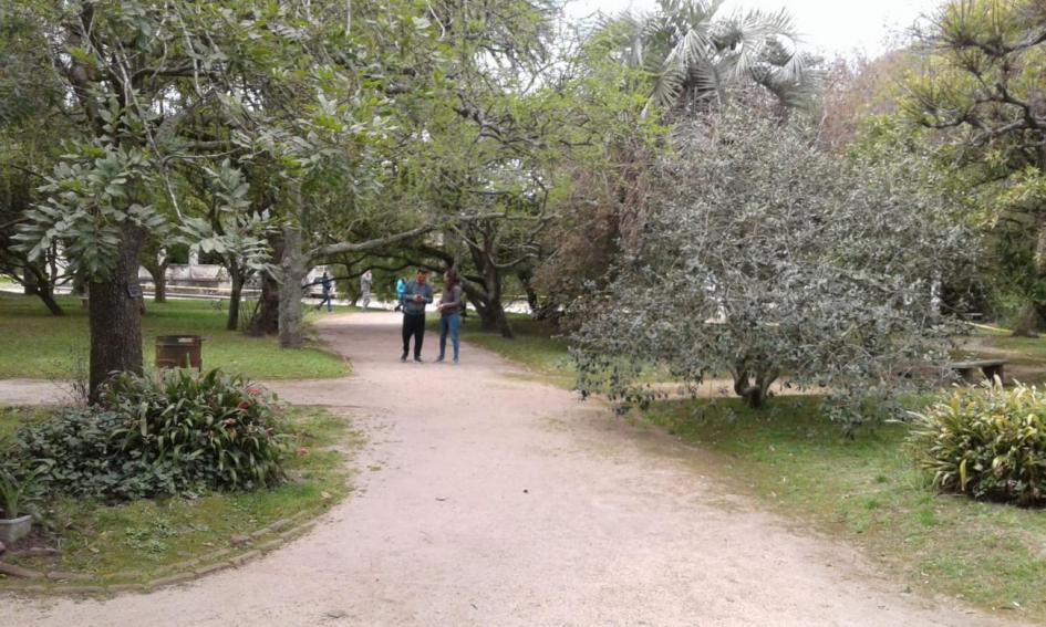 Parque del vivero