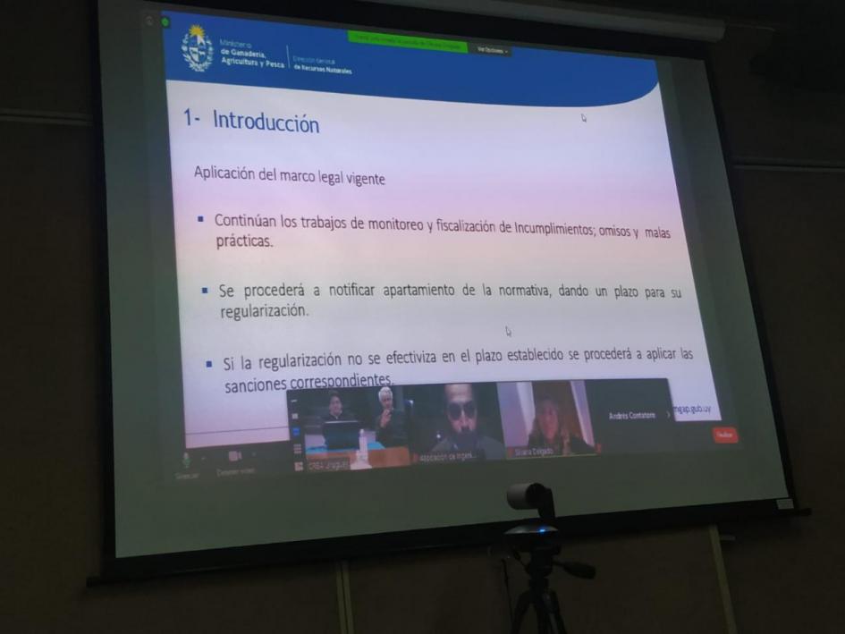Diapositiva del taller y participantes online Taller realizado por videoconferencia, participantes y diapositiva