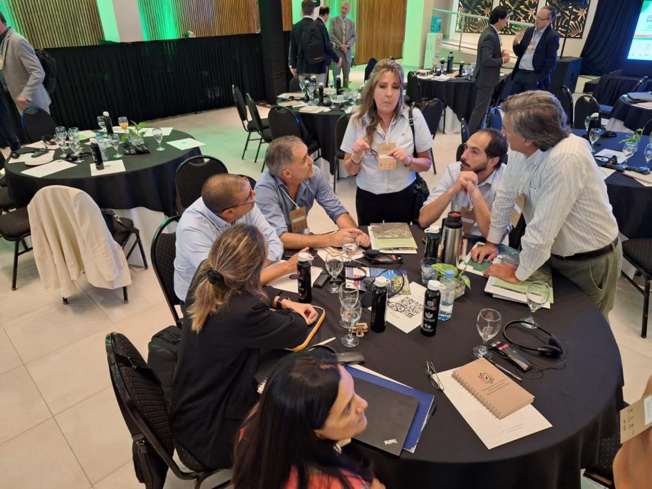 Grupos de trabajo en Cumbre de Iguazú