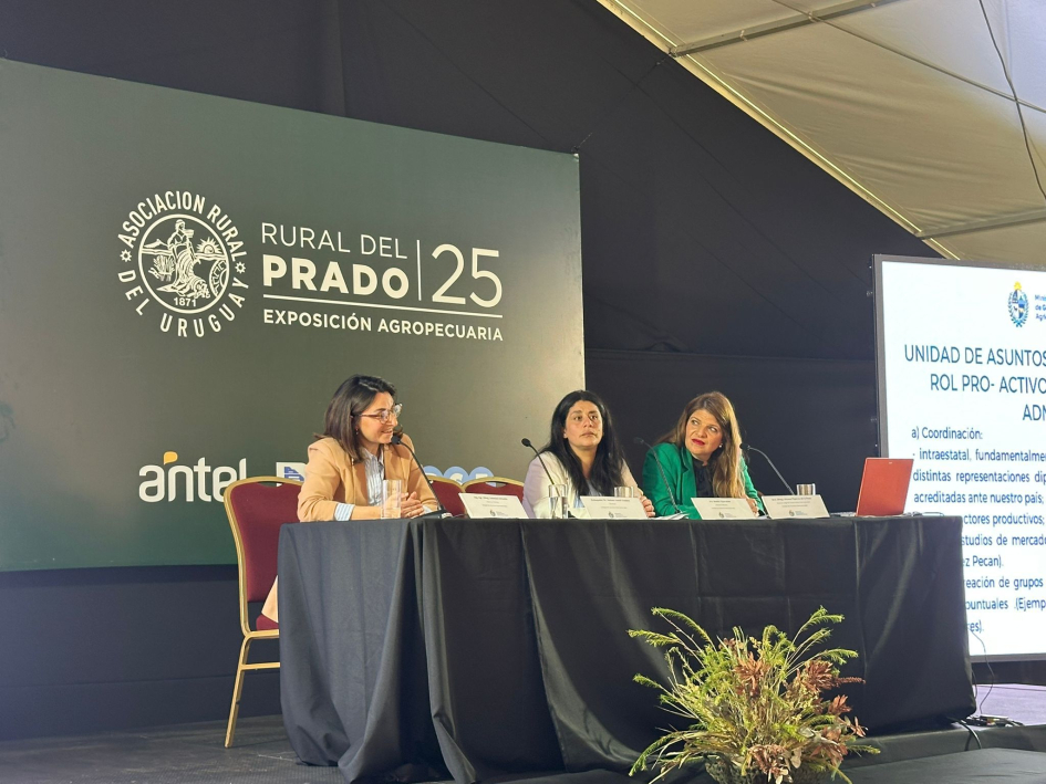 Exposición del equipo de UAI