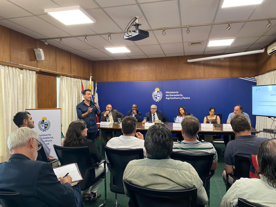 llamado Agua llamado Agua