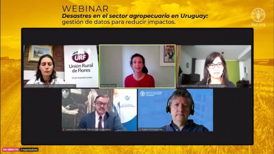 Webinar sobre desastres en el sector agropecuario