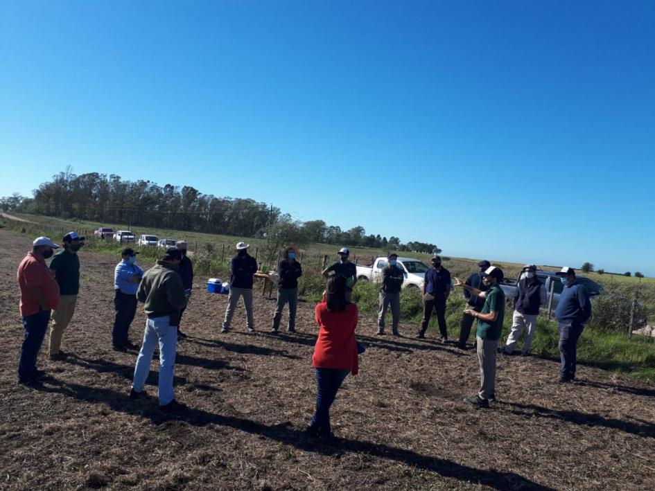 DeepAgro: Aplicación de fitosanitarios DeepAgro: Aplicación de fitosanitarios