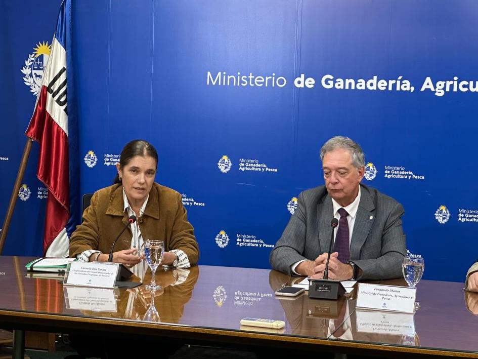 Conferencia de prensa