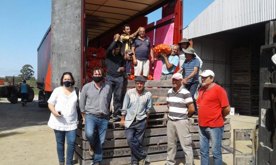 Productores de cebolla de Canelones 