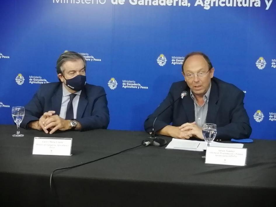 Presentación del Anuario 2020