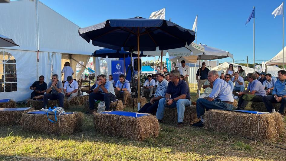 Charla sobre seguros agrícolas Charla sobre seguros agrícolas