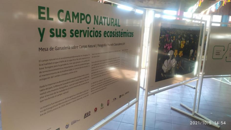 Muestra "El campo natural y sus servicios ecosistémicos"