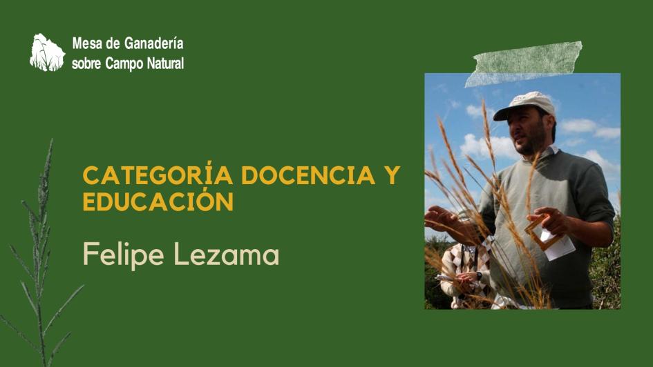 Categoría: Docencia y educación – Felipe Lezama Categoría: Docencia y educación – Felipe Lezama