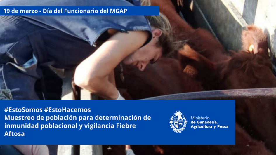 Funcionarios/as del MGAP en plena tarea Funcionarios/as del MGAP en plena tarea