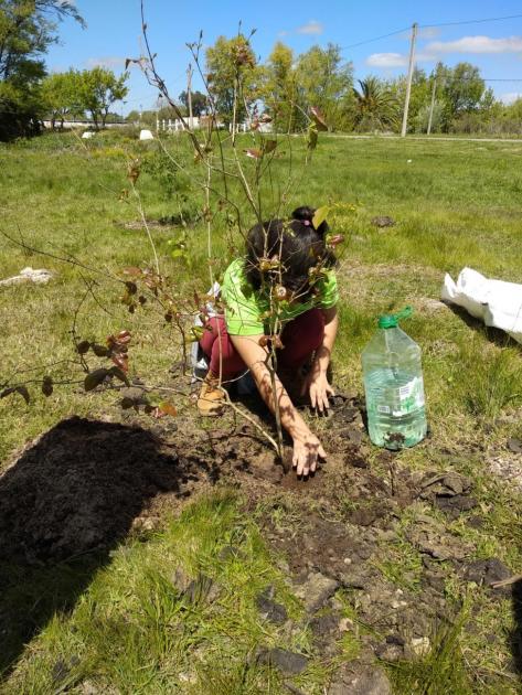 Plantatón Plantatón