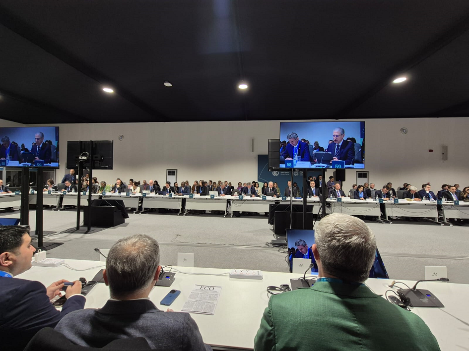 COP29 COP29