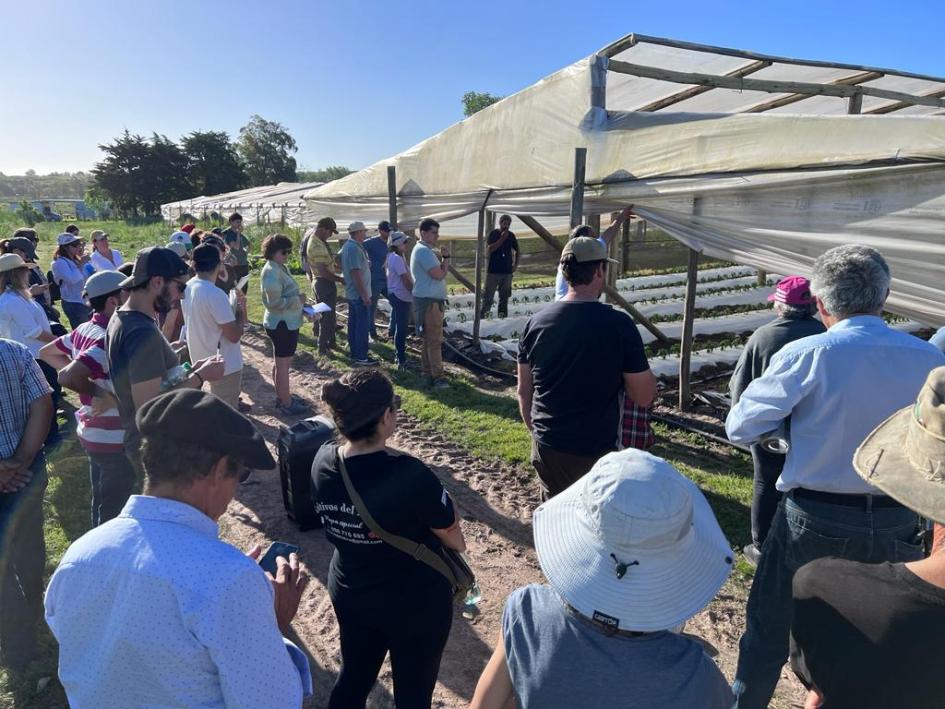 Programa Manejo Regional Hortícola y Fpta 383 