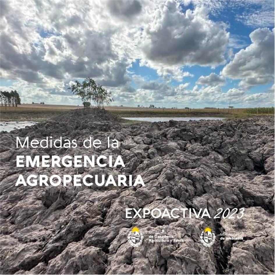 Emergencia Agro Emergencia Agro